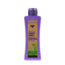 Salerm Biokera Grapeology Shampoo - Шампунь с маслом виноградной косточки 300 мл