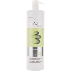 Erayba Z12b Cleansing Shampoo - Шампунь против жирных волос, 250 мл