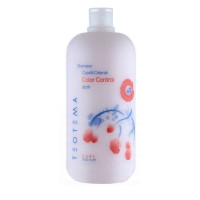 Teotema Care Color Control Shampoo - Шампунь для окрашенных волос, 1000 мл