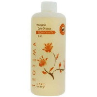 Teotema Care Sebum Specific Bath Shampoo - Шампунь для жирных волос 500 мл