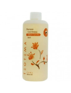 Teotema Care Sebum Specific Bath Shampoo - Шампунь для жирных волос 500 мл