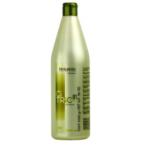 Salerm Citric Balance 01 Shampoo - Шампунь для поврежденных волос