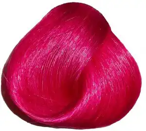 Directions rose red